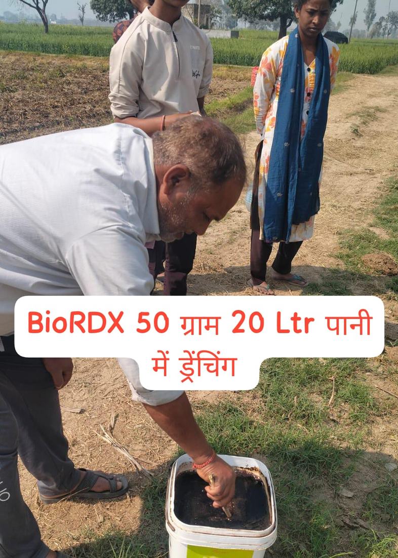 किसान द्वारा खेत में BioRDX का प्रयोग