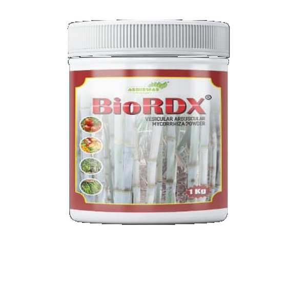 BioRDX जार