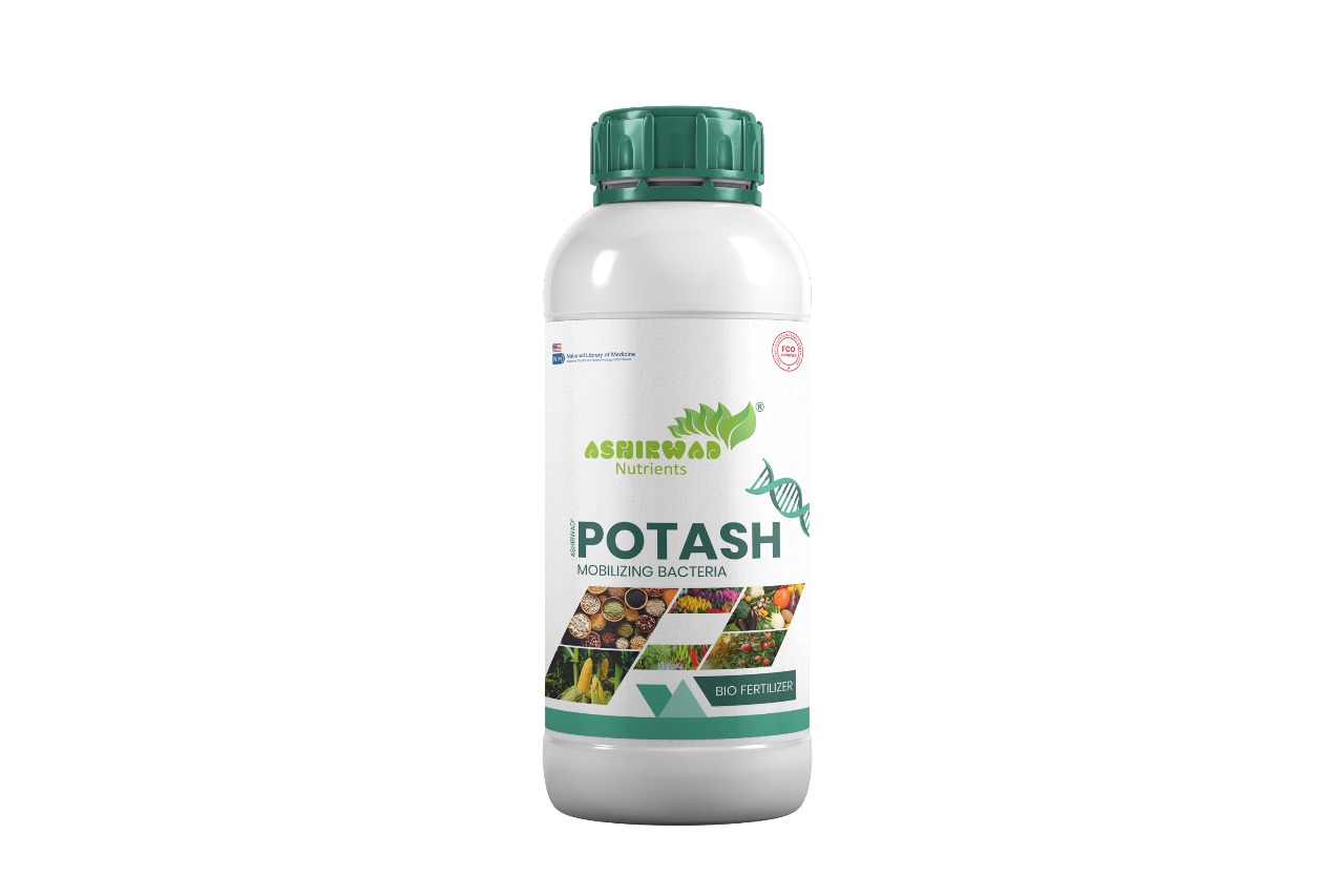 POTASH बोतल